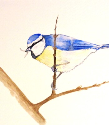 Animaux